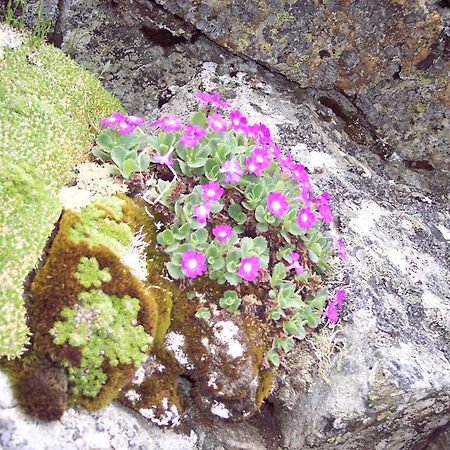 Les Clarines Perceneige - Chambre D'Hotes Vue Sur Montagne & Spa Saint-Jacques-en-Valgodemard Zewnętrze zdjęcie